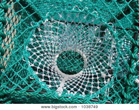 Lobster Pot