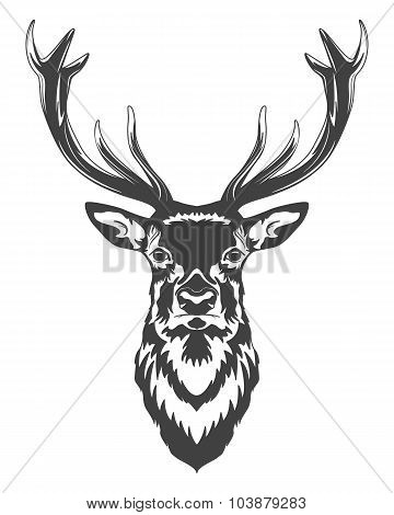 Deer head