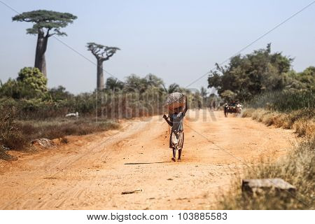 MORONDAVA, MADAGASCAR - DECEMBER 08 Portrait of unidentified child carries heavy goods on his head, December 08, 2013, Morondava region, Madagascar.