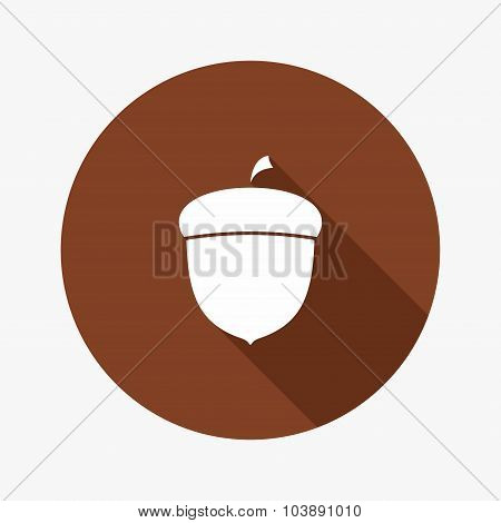 Vector Flat Icon of Acorn.