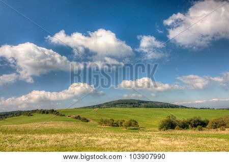Grassfield And Blue Sky With Clouds