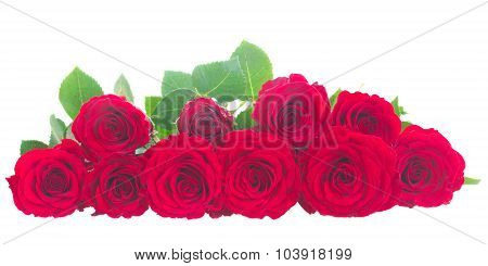 pile of red roses