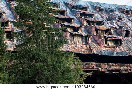 Burnt Building
