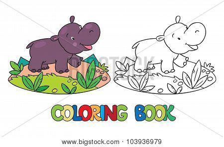 Coloring book of little funny hippo