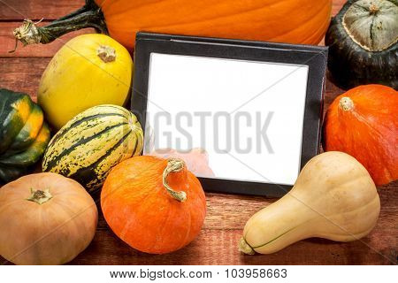 blank digital tablet surrounded by pumpkin and winter squash, Halloween or Thanksgiving decoration