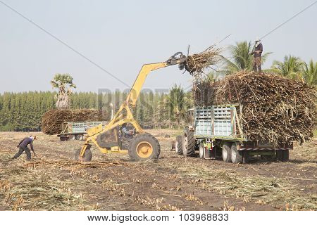 Sugarcane Truck