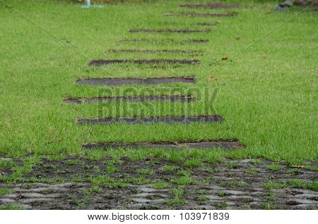 Walk Way On Green Grass Turf Floor Texture Background