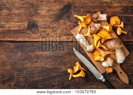 Porcini and chanterelle mushrooms on a cutting board with knife on a rustic background. Lots of copy space