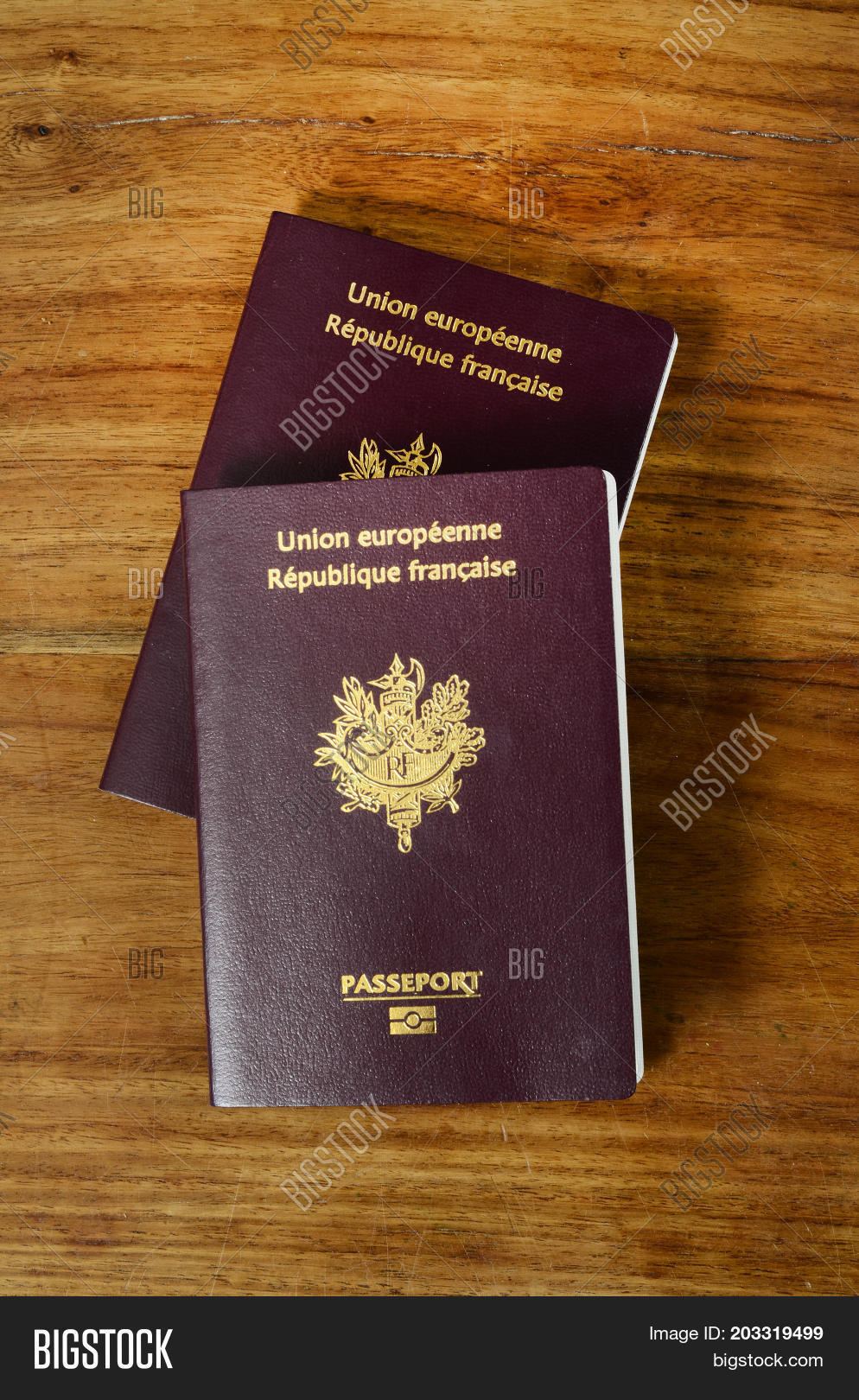 Brown Passeport Image & Photo (Free Trial) Bigstock