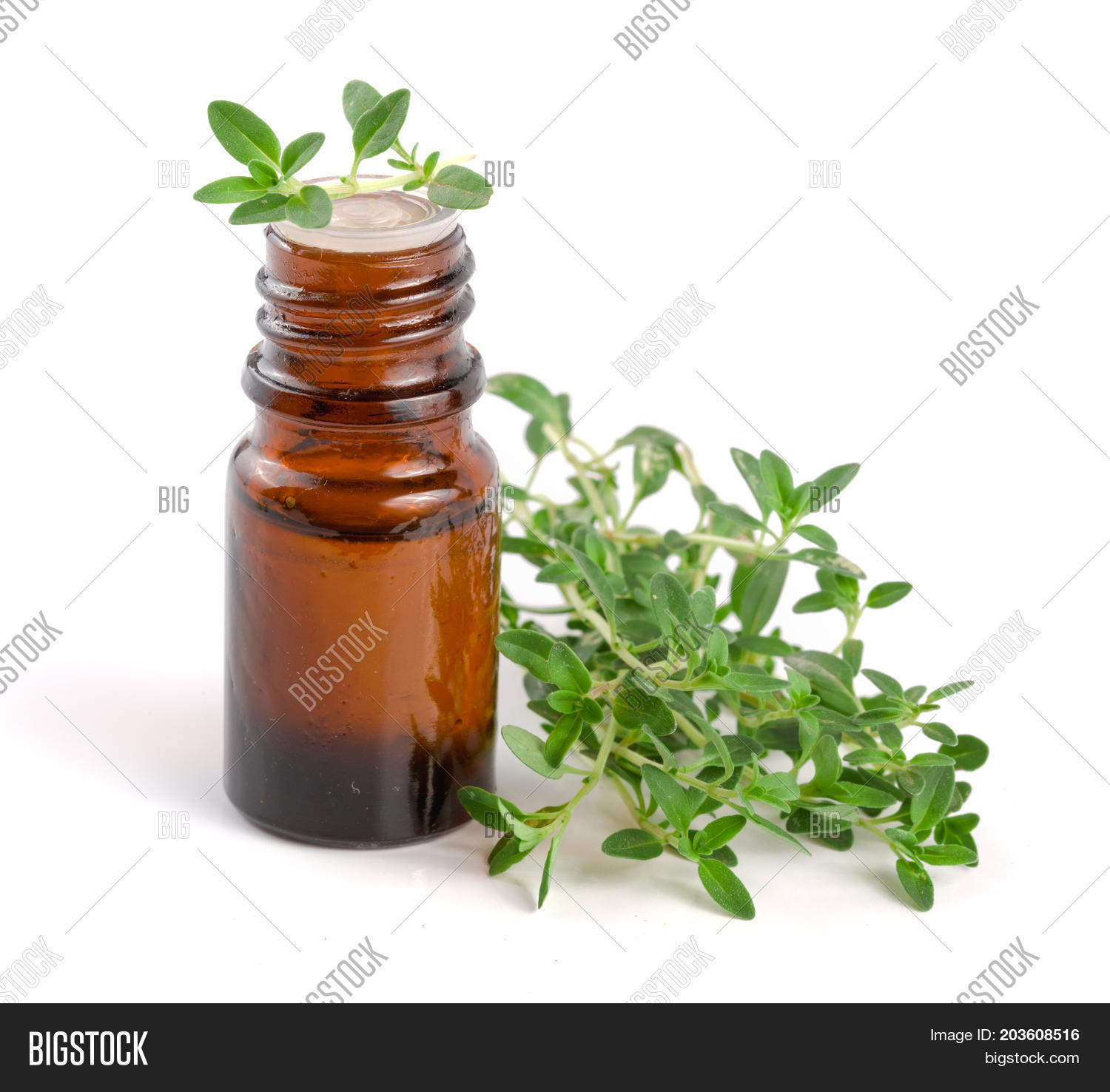 Bottle Essential Oil Image & Photo (Free Trial) Bigstock