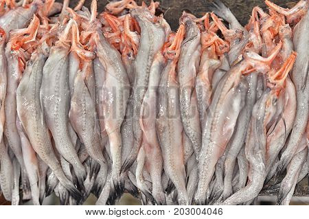 close up view of fresh fish selling on market