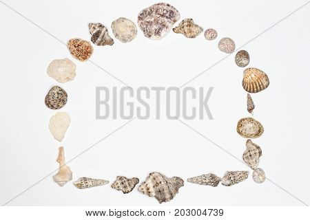 a frame with different mussels on a white background