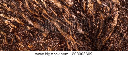 Ruby Wrinkled Bark