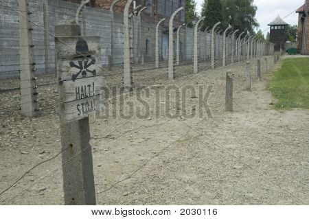 Auschwitz - Stop!