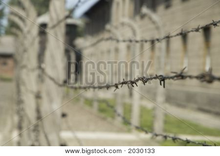 Auschwitz - Barbed Wire