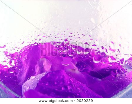 Backgroud con petali di Rose