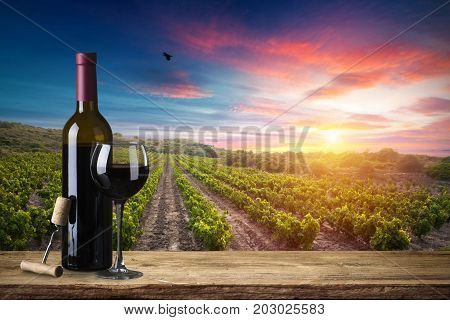 Red wine with barrel on vineyard in green Tuscany, Italy.