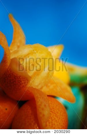 Citrusové