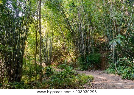 Scenery In Khao Sok National Park In Thailand. Khao Sok National Park The Rain Jungle Forest In Sura