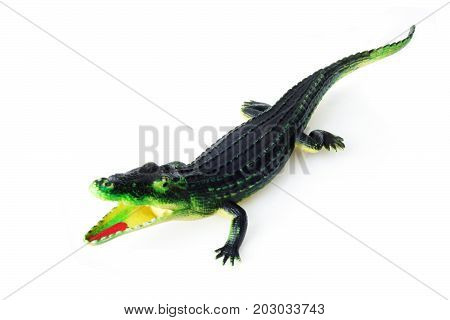 rubber crocodile toy isolated on white background