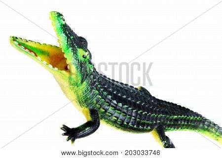 rubber crocodile toy isolated on white background