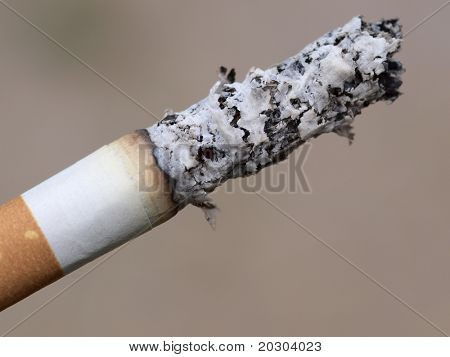 Fotografia a cores de cigarros filtrados closeup