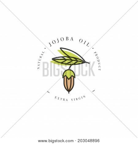 Vector packaging design template and emblem - beauty and cosmetics oil - jojoba. Logo in trendy linear style