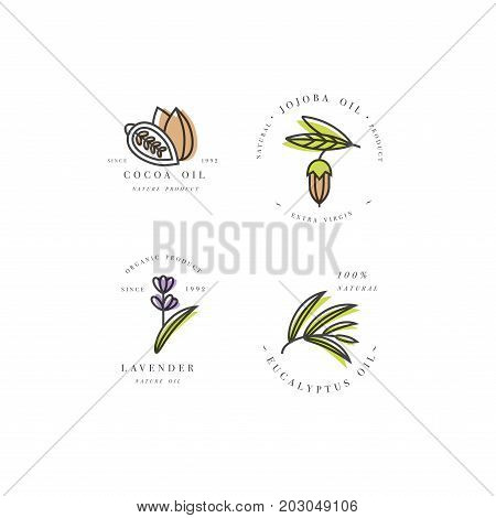 Vector set of packaging design templates and emblems - beauty and cosmetics oils - cocoa, lavender, jojoba and eucalyptus. Logos in trendy linear style