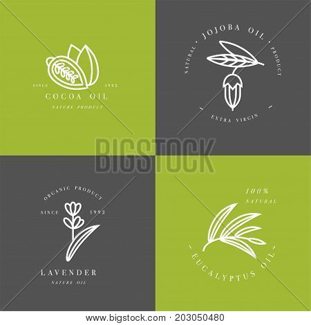 Vector set of packaging design templates and emblems - beauty and cosmetics oils - cocoa, lavender, jojoba and eucalyptus. Logos in trendy linear style
