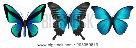 Set of colorful realistic butterflies. Vector 3D illustration