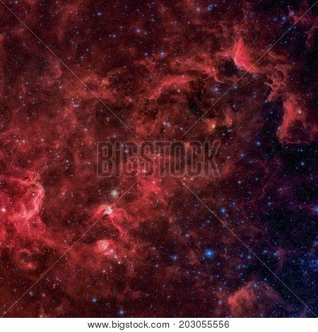 The North America Nebula In The Constellation Cygnus