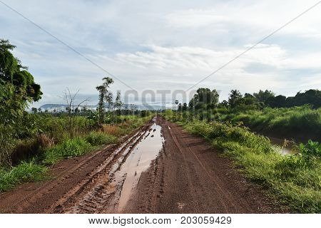 tire track of many vehicle on soil mud road in countryside in rainy season