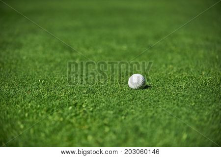 white golf ball on green field close up