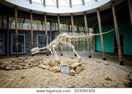 Tskaltubo, Georgia - November 18, 2016: Skeleton Of Dinosaur, Located In Sataplia Nature Reserve Nea