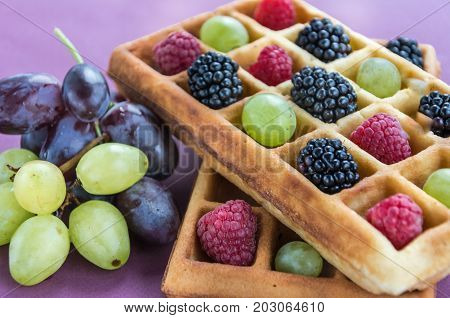 Belgian waffels with grape, blueberry, raspberry on pink background