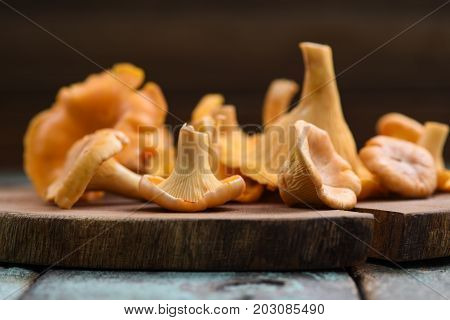 Fresh whole chanterelle forest mushrooms on wooden plate side view
