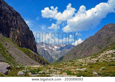 Amazing nature view of green mountain forest and tree growing on a rock, natural landscape perspective, Caucasus, Russia.