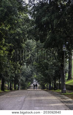 couple walking hand in hand down a tree lined path