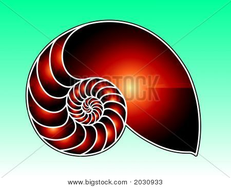 Nautilus-2