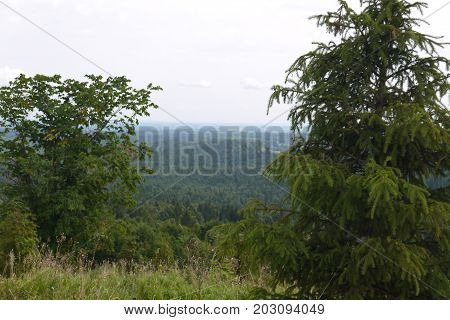View from the mountain on the woody area in the Urals