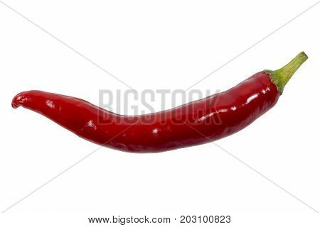 Fresh red chili for cooking spicy food Isolated on white background