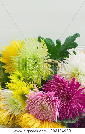 Chrisantemum fresh fall flowers bouquet close up border