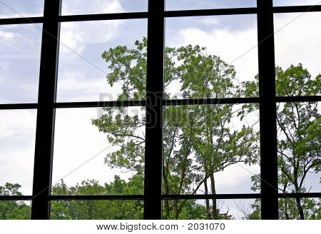 im Blick