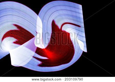 Canada Flag lightpainted on black background texture