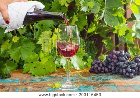 Waiter Pouring A Glass Of Red Wine, Outdoor Terrace, Wine Tasting In Sunny Day, Green Vineyard Garde