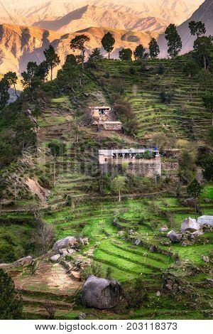 Village with traditional stone houses scattered on the mountain side in Swat valley Pakistan