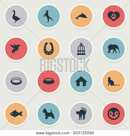 Elements Belt, Fish, Tomcat And Other Synonyms Hummingbird, Tomcat And Fish.  Vector Illustration Set Of Simple Animals Icons.