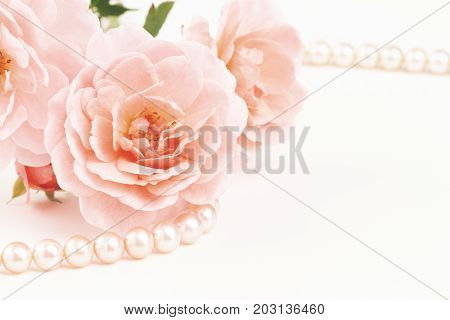 Close up of pastel pink roses with string of pearls. Muted dusty colors with copy space.