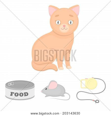 Mouse, pet leash, pet food, kitten. Cat set collection icons in cartoon style vector symbol stock illustration .