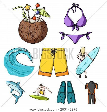 A collection of pictures on the theme of the beach, the sea, surfing. Rescuers of the beach.Surfing icon in set collection on cartoon style vector symbol stock web illustration.